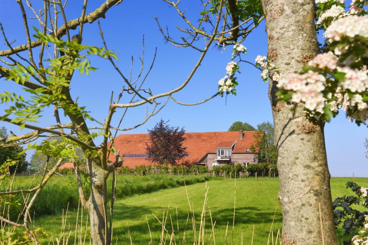 Ferienwohnungen Auf Dem Ferienhof An Der Schafweide Werdum Buitenkant foto